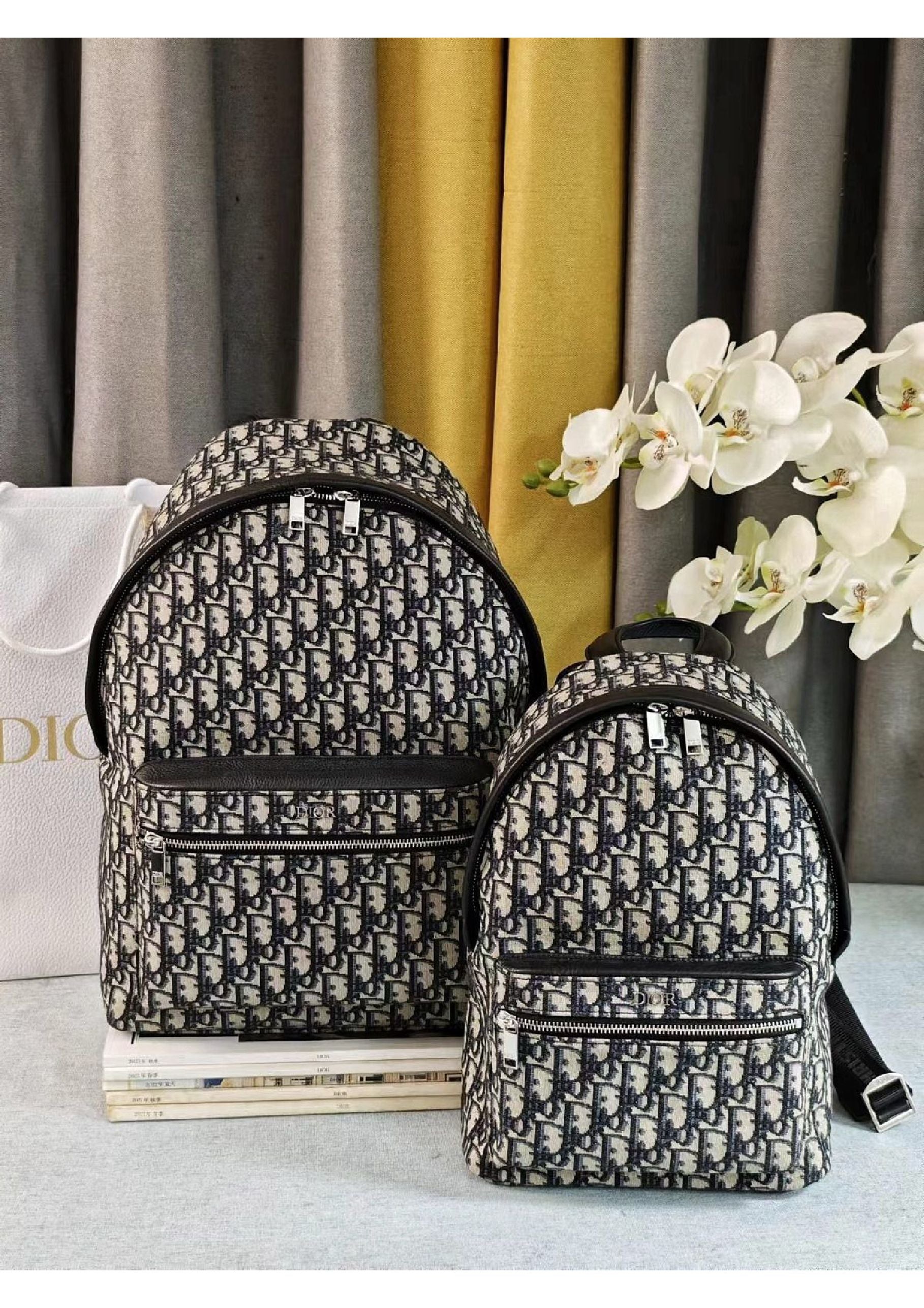 Dior Backpack