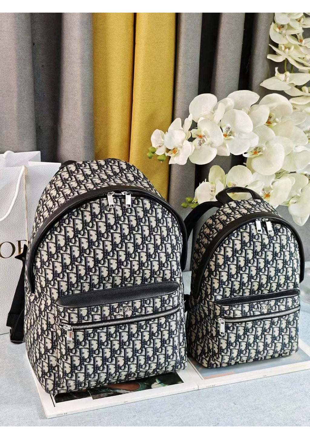 Dior Backpack