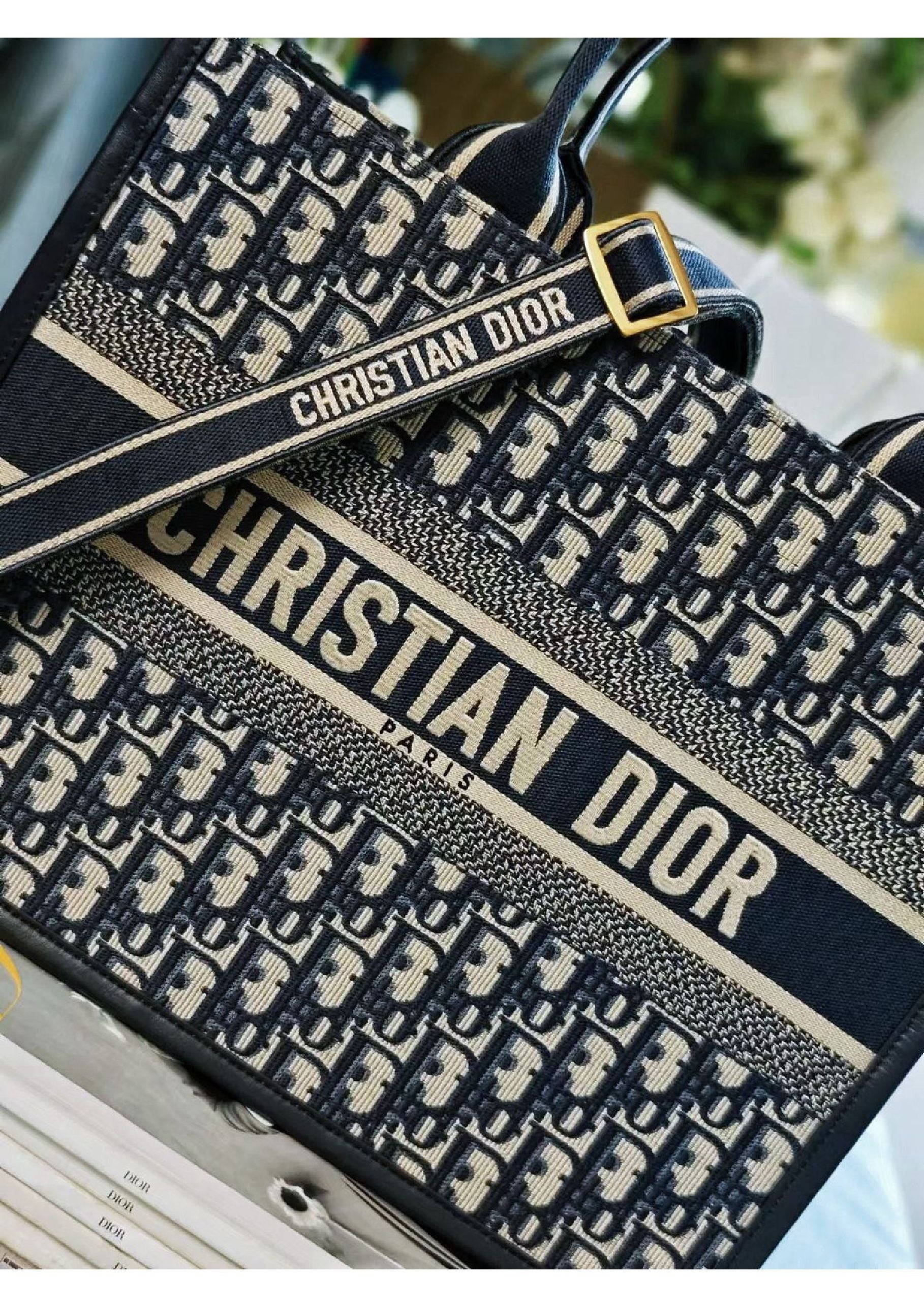 Dior Book Tote