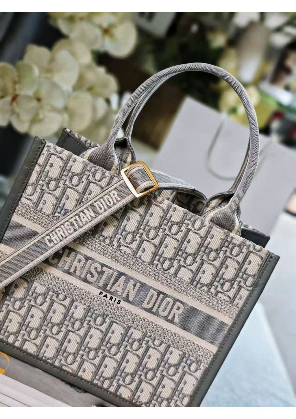 Dior Book Tote