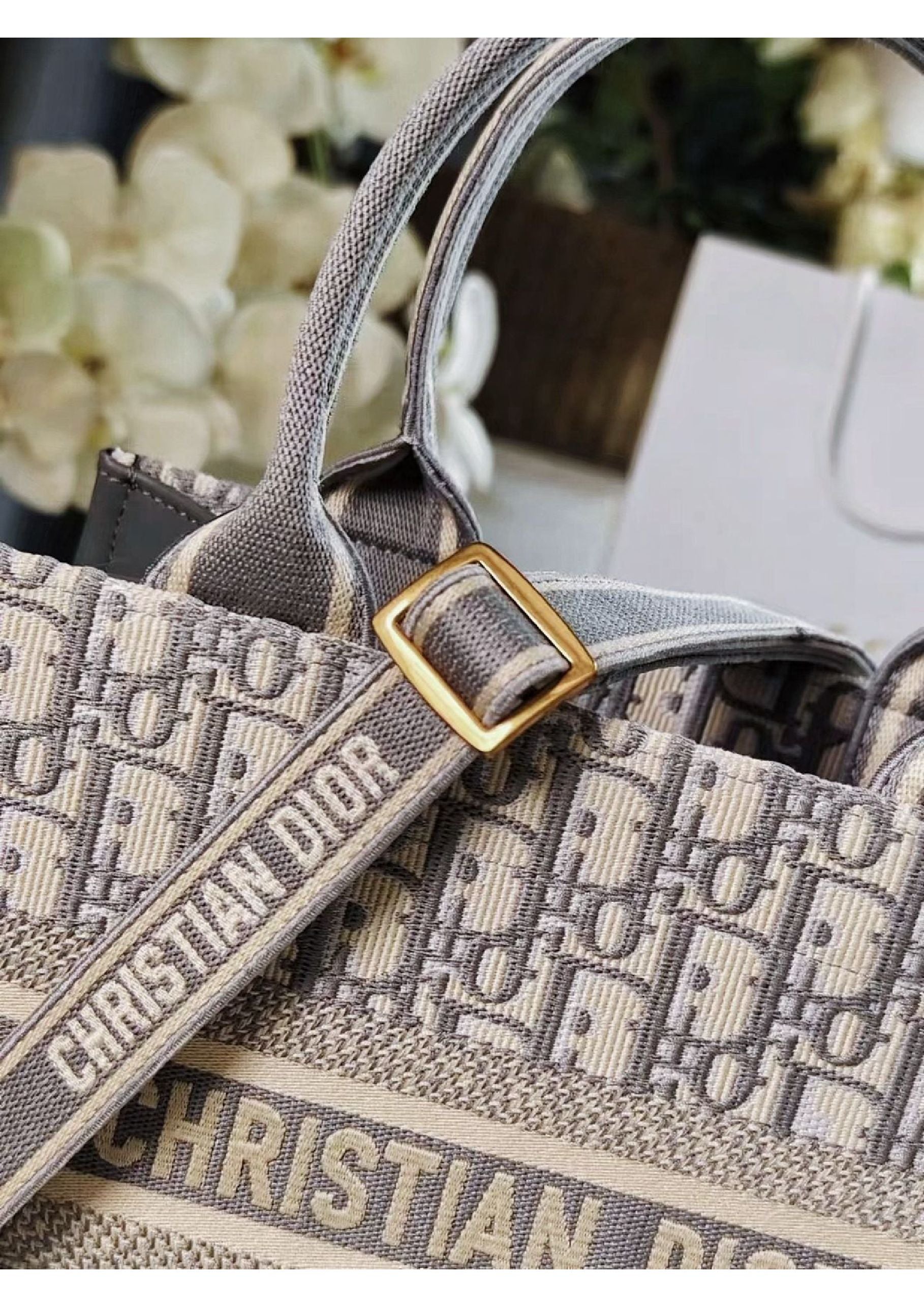 Dior Book Tote